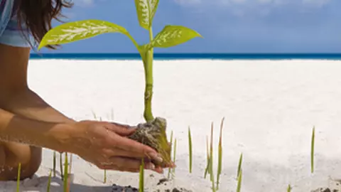Traieste ecologic. Fii eco!