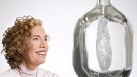 Fundatia L’Oréal si UNESCO au premiat femeile din stiinta