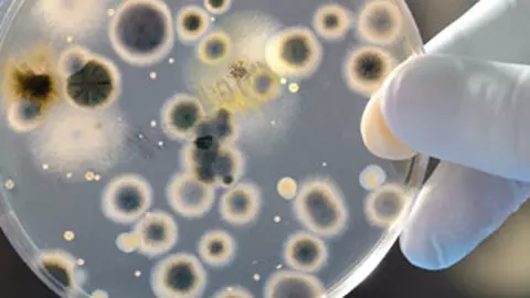 Cum scapam de bacterii fara iritatii, alergii sau intoxicatii?