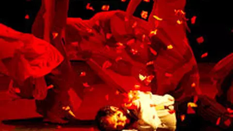 Compania Passe-Partout Dan Puric joaca Don Qijote la Teatrul National Bucuresti
