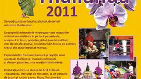 Festival Cultural Thailanda 2011