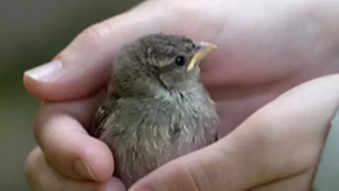 Cinci pasi pentru a creste copiii fara bataie