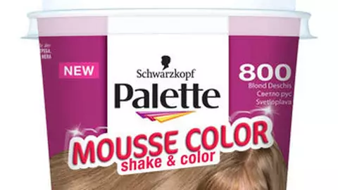 Palette Mousse Color si vopsitul parului poate fi distractiv