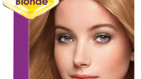Palette Intensive Color Crème Honey Colors