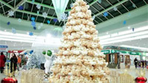 Primii brazi de ursuleti de plus in premiera in Romania