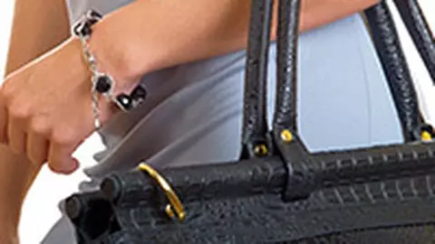 O alta geanta, zi de zi