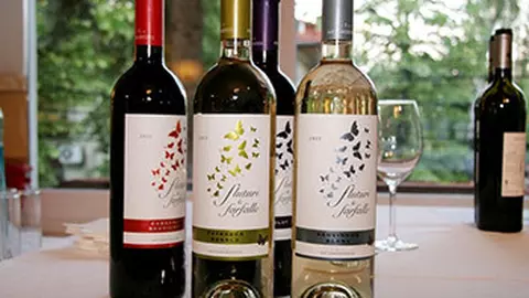 Fluturi & Farfalle, noua gama de vinuri Halewood International & Antinori