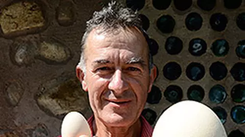 Comoara din varful muntelui: crescatoria de struti