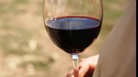 Primul vin Cabernet din plantaţia Aliman