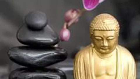 Feng Shui – un stil de viata