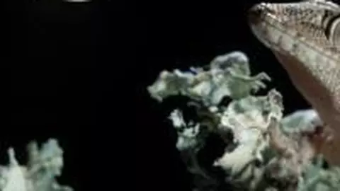 Horoscop: O săptămâna care ne va schimba vibraţia.