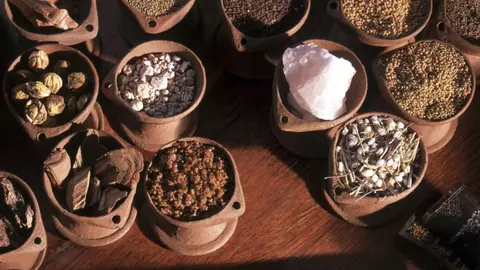 Plante care previn cancerul şi te menţin Zen