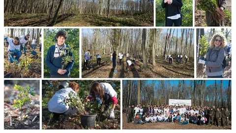 Să Plantăm pentru Planetă cu Yves Rocher!