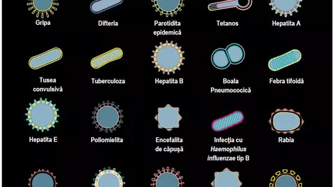Fii sănătos! Fii responsabil! Vaccinează-te!