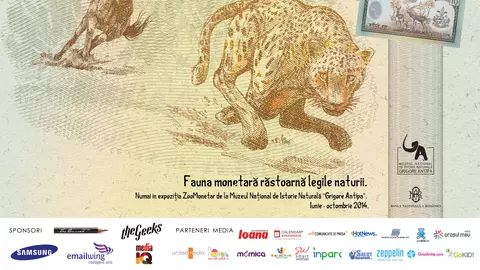 Poți vedea fauna lumii pe bancnote și monede