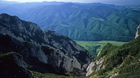 5 locuri cu Fainoșag, la munte