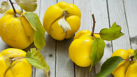 Gutuile, fructe grozave pentru sănătatea ta