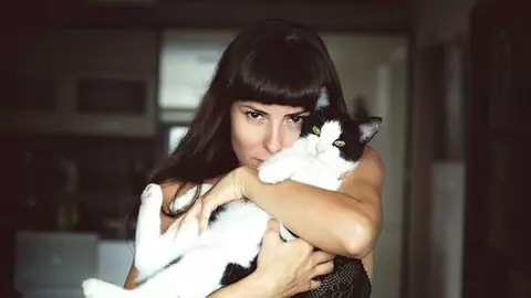Pisica te poate îmbolnăvi de toxoplasmoză