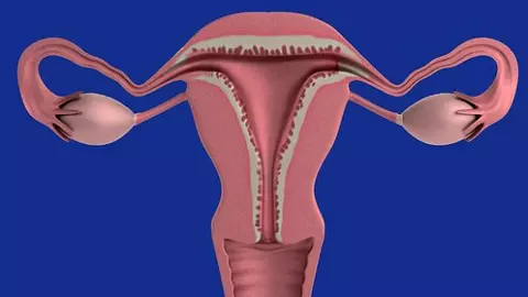 Principalele simptome care indică prezența cancerului ovarian