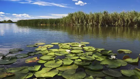 (P) Reduceri de până la 45% pentru vacanțele în Delta Dunării
