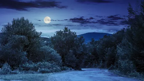 Cum ne va afecta Luna Plină în Rac din 12 ianuarie