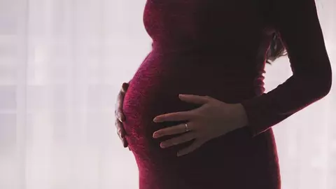 Sarcina toxică. Gălbenușul de ou învinge greața