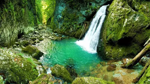 Cele mai frumoase cascade din România. Trebuie să ajungi și tu aici