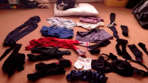 Gestul bizar al unui motan! Ce fură de la vecini și aduce acasă