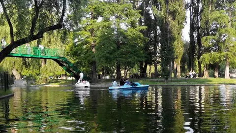 Descoperire șocantă în parcul IOR din București! S-a găsit o pungă cu cârnaţi, iar ce era în carne e de necrezut