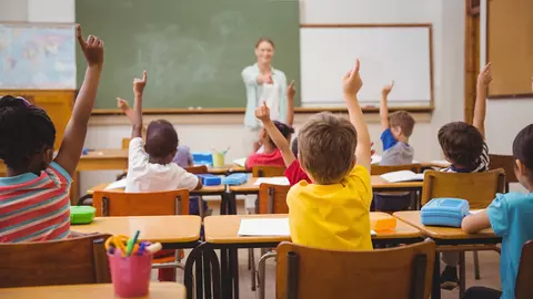 Școală, școală, vrem educație adevărată!