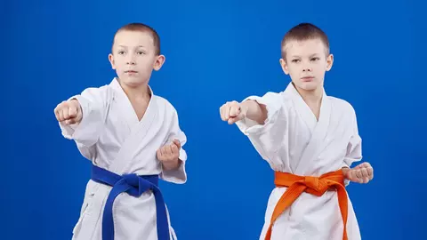 Sambo, sportul despre care foarte puține persoane au auzit