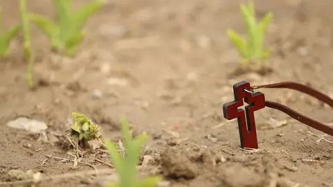 Moaștele Sfântului Mardare, descoperite neputrezite în SUA