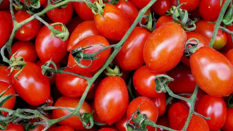 Mare atenție! Roșiile cu țugui au apărut în piețe! De ce arată așa acest legume