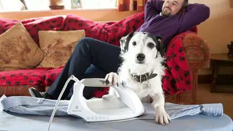 Sykes, câinele actor din Midsomer, s-a retras din activitate