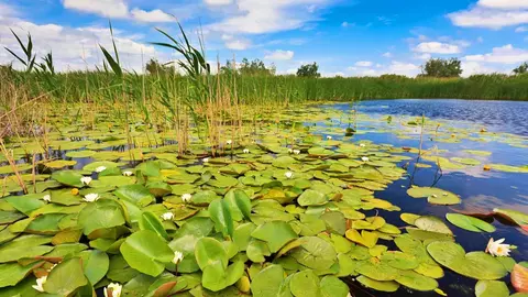 Vacanțe în Delta Dunării de la numai 474 lei!