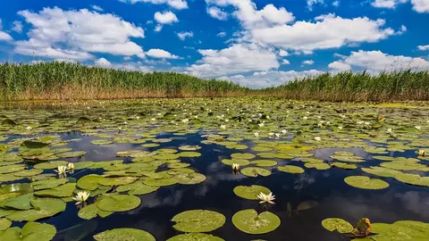 Cele mai mici tarife la vacanțele în Delta Dunării!