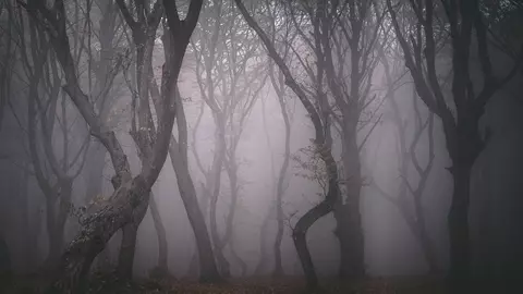 Locuri din România învăluite în mister. Aici se întâmplă lucruri inexplicabile