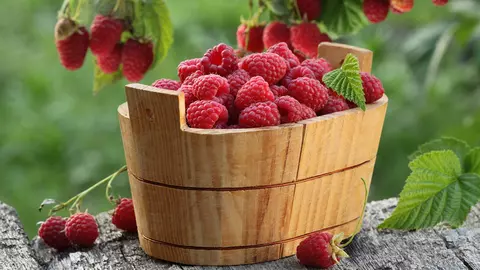 Dieta cu zmeură, modalitatea de a scăpa de 2 kilograme în numai 3 zile