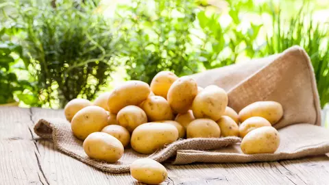 Cum a reușit un bărbat să slăbească 50 de kilograme cu ajutorul dietei cu cartofi. Uite în ce constă acest regim