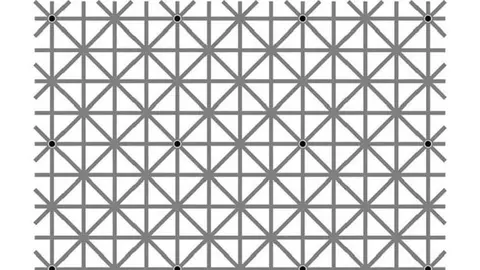 Cel mai dificil test de vedere! În imagine sunt 12 puncte negre. Câte vezi în acelaşi timp