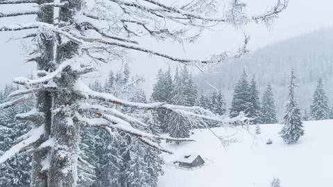 Vine iarna în luna octombrie! Meteorologii au emis o avertizare de precipitații sub formă de lapoviță și ninsoare