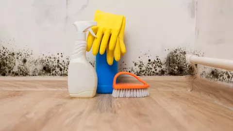 Cea mai simplă metodă de a scăpa de mucegaiul din casă definitiv! Nu vei mai cheltui bani pe produse din comerț