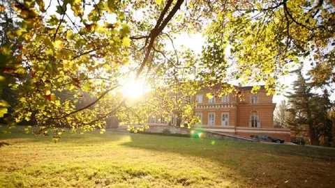 Cât costă o casă la doi pași de Castelul Regal de la Săvârșin