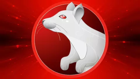 Horoscopul chinezesc 2018 pentru Șobolan: dragoste, bani, carieră, sănătate