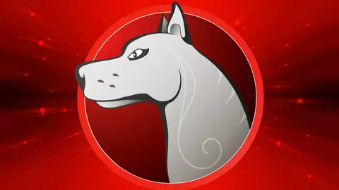 Horoscopul chinezesc 2018 pentru Câine: dragoste, bani, carieră, sănătate