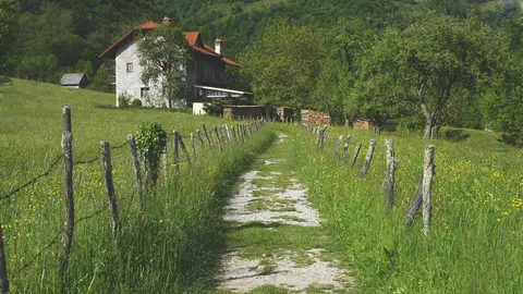 (P) Îți cauți teren pentru casă? Iată ce trebuie să știi!
