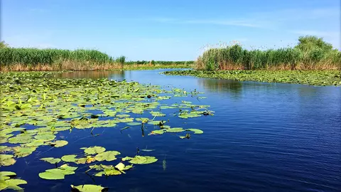 Vacanţă de Rusalii cu tradiţii lipoveneşti, în Delta Dunării