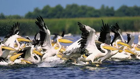 Surprinde spectacolul naturii într-un sejur de Paște în Delta Dunării