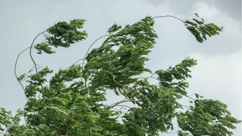 Cod galben de vânt puternic până la ora 21. Uite ce zone sunt sub avertizarea meteorologilor