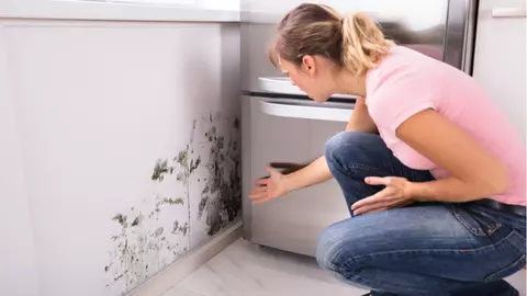 Cum îți afectează mucegaiul sănătatea? Inamicul care poate să apară în orice colț al casei tale